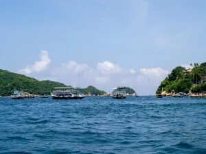 Barco turístico observando ballenas jorobadas en Acapulco con protocolos certificados