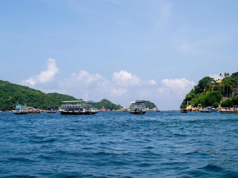 Barco turístico observando ballenas jorobadas en Acapulco con protocolos certificados