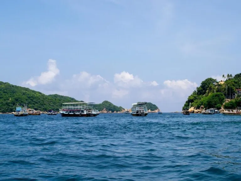 Barco turístico observando ballenas jorobadas en Acapulco con protocolos certificados