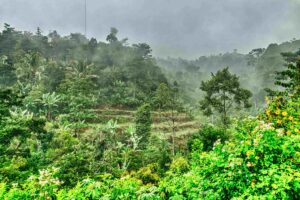 Trabajadores descargan mercancía bajo lluvia intensa en centro de distribución del sector consumo en México, reflejando efectos del clima húmedo