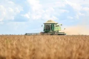 Granos de sorgo y bandera de México simbolizan aumento en importación por menor producción local