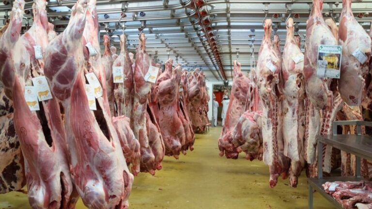 Planta empacadora de carne con trabajadores procesando productos cárnicos.