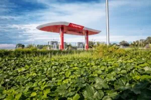 Estación de servicio Terpel rodeada de vegetación que representa compromiso ambiental y operación limpia