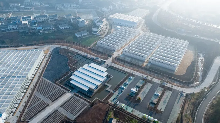 Vista aérea de Hallmark Farms en Alabama durante proceso de rehabilitación minera para desarrollo del Alabama Farm Center en 2026