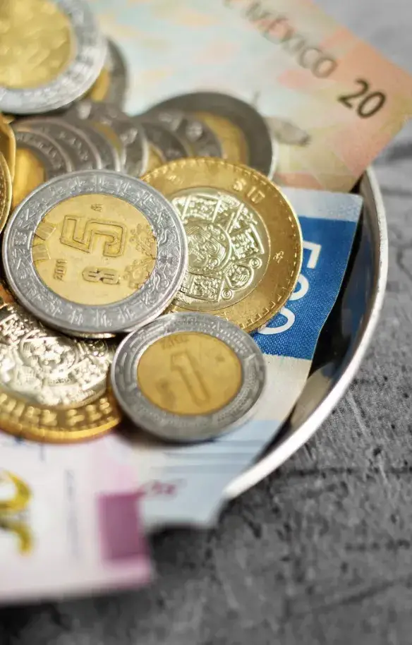 Alexis Nickin Gaxiola analiza caída del efectivo global.