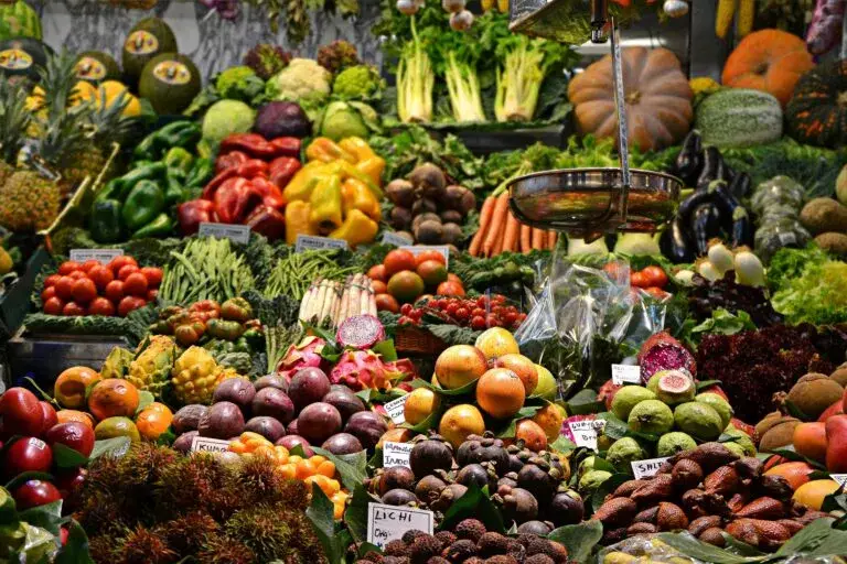 Acuerdo México UE agroalimentario elimina aranceles y fortalece comercio bilateral en 2026