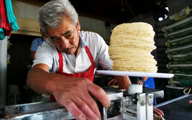 Precio de la tortilla en México tras alerta de Banamex por inflación y presión en cadenas productivas