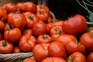 Cuota al jitomate mexicano impulsa oportunidades comerciales para Canadá en Estados Unidos