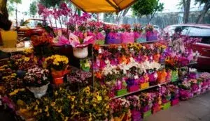 Comercios y consumidores en Tamaulipas durante el Día de las Madres con aumento de ventas y consumo familiar