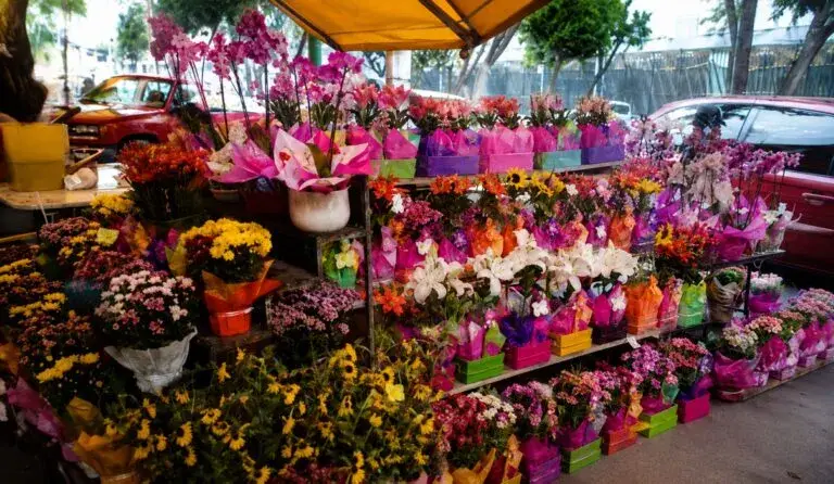 Comercios y consumidores en Tamaulipas durante el Día de las Madres con aumento de ventas y consumo familiar