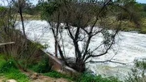 Acaparamiento de agua en Jalisco durante revisión de concesiones realizada por Conagua a empresas e industrias
