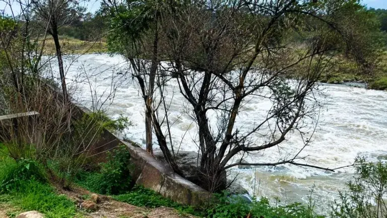 Acaparamiento de agua en Jalisco durante revisión de concesiones realizada por Conagua a empresas e industrias
