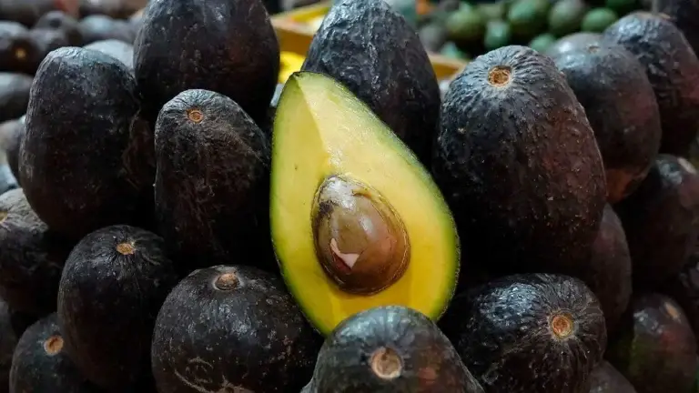 Aguacates mexicanos frescos relacionados con exportaciones, agricultura y crecimiento económico
