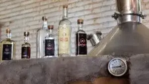 Consejo del Mezcal impulsa la exportación del mezcal de Aguascalientes con apoyo a productores y certificación.