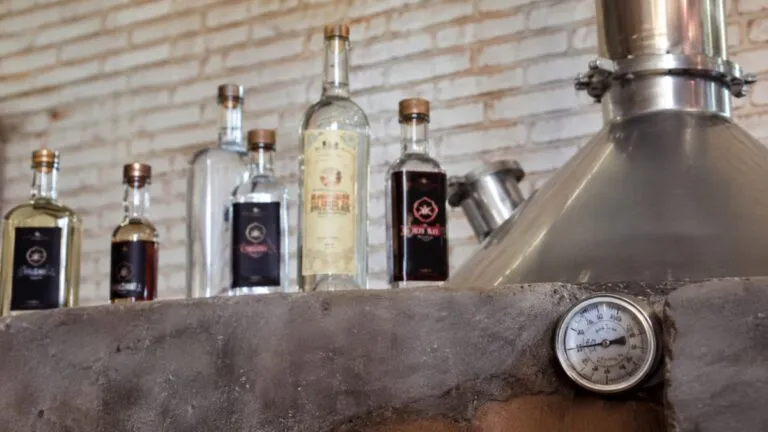 Consejo del Mezcal impulsa la exportación del mezcal de Aguascalientes con apoyo a productores y certificación.
