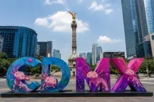 Ajolotes protagonizan la imagen de CDMX rumbo al Mundial 2026 mientras crecen alertas sobre conservación