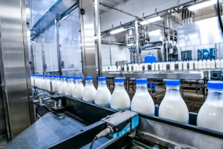 Consumo de leche en México impulsado por la industria láctea y el aumento de la producción nacional
