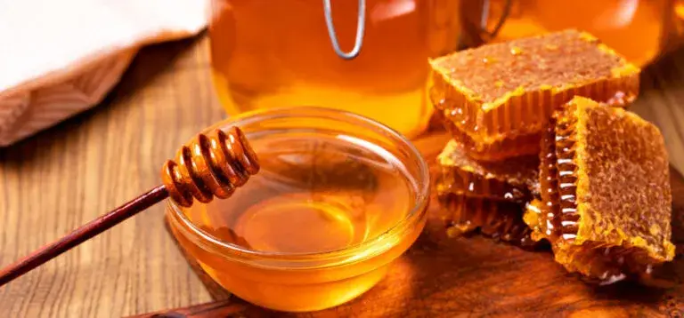 Frascos de miel mexicana y abejas relacionados con exportaciones, apicultura y productos naturales