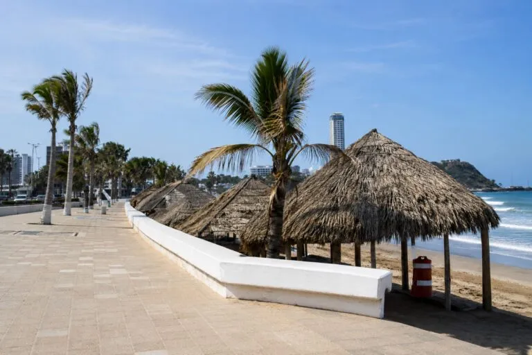 Palapas irregulares en Mazatlán bajo revisión de autoridades en la zona costera turística