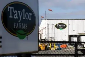 Decisión de Taylor Farms durante investigación sanitaria sobre lechuga en Guanajuato y controles de inocuidad.