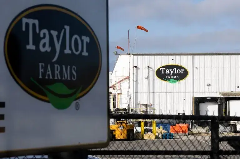 Decisión de Taylor Farms durante investigación sanitaria sobre lechuga en Guanajuato y controles de inocuidad.