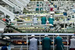 Exportaciones agroalimentarias de México fortalecen el comercio con Ecuador y amplían oportunidades comerciales.