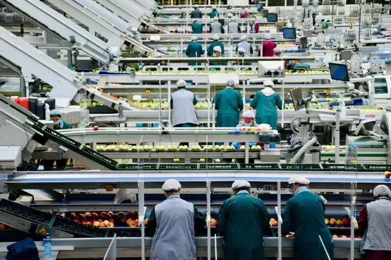 Exportaciones agroalimentarias de México fortalecen el comercio con Ecuador y amplían oportunidades comerciales.