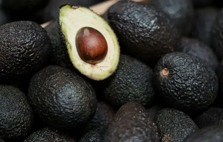 Aguacate mexicano aumenta ventas en Estados Unidos durante el Mundial y fortalece las exportaciones.