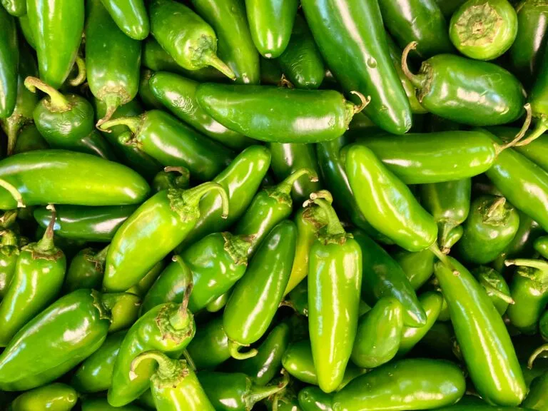 Chipotle retira jalapeños durante investigación por brote de salmonela en Estados Unidos.