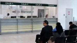 Seguridad social en México ante propuesta para simplificar pagos empresariales y ampliar el empleo formal
