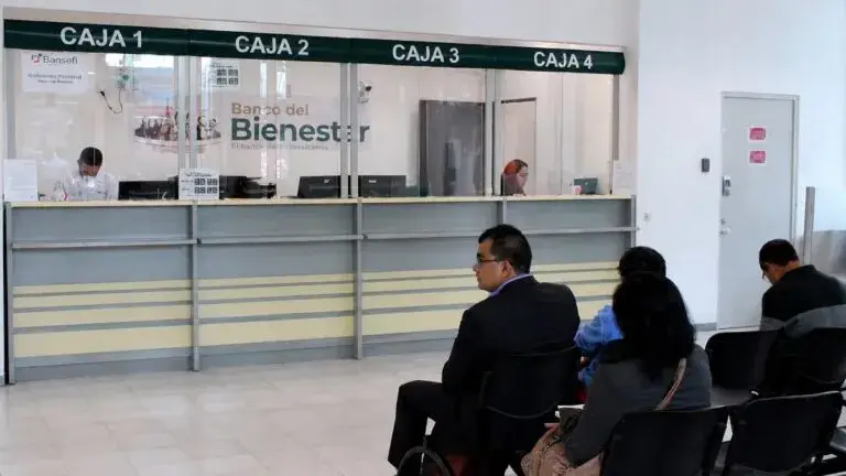Seguridad social en México ante propuesta para simplificar pagos empresariales y ampliar el empleo formal