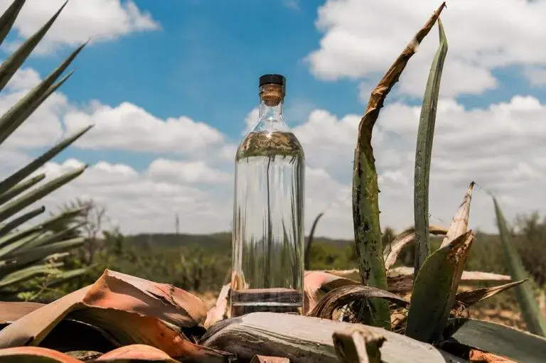 Festival del Mezcal en Durango reúne productores y negocios para impulsar ventas y turismo