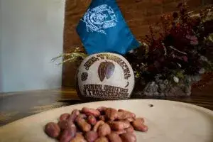 Cacao y tecnología se unen en Tabasco mediante experiencias inmersivas para preservar la historia y cultura del chocolate