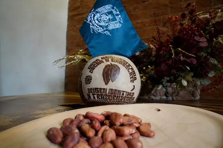 Cacao y tecnología se unen en Tabasco mediante experiencias inmersivas para preservar la historia y cultura del chocolate