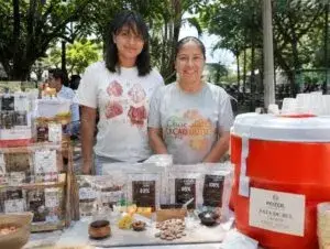 Cacao mexicano transformado en chocolate, cocoa y manteca por un emprendimiento familiar de Veracruz