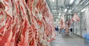 Sector cárnico en México pide mayores recursos para sanidad animal ante riesgos para la producción y el comercio.