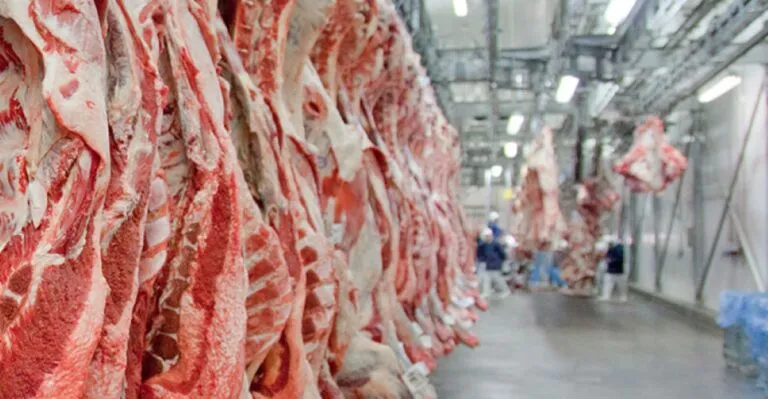 Sector cárnico en México pide mayores recursos para sanidad animal ante riesgos para la producción y el comercio.