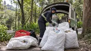Economía circular en Chapultepec permite separar residuos, producir composta y sumar empresas a un modelo sostenible.
