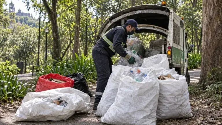 Economía circular en Chapultepec permite separar residuos, producir composta y sumar empresas a un modelo sostenible.