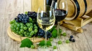 Vino mexicano impulsa negocios, turismo, gastronomía y nuevas oportunidades para productores nacionales